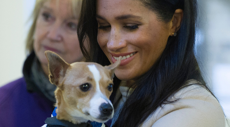 meghan markle with her doggie